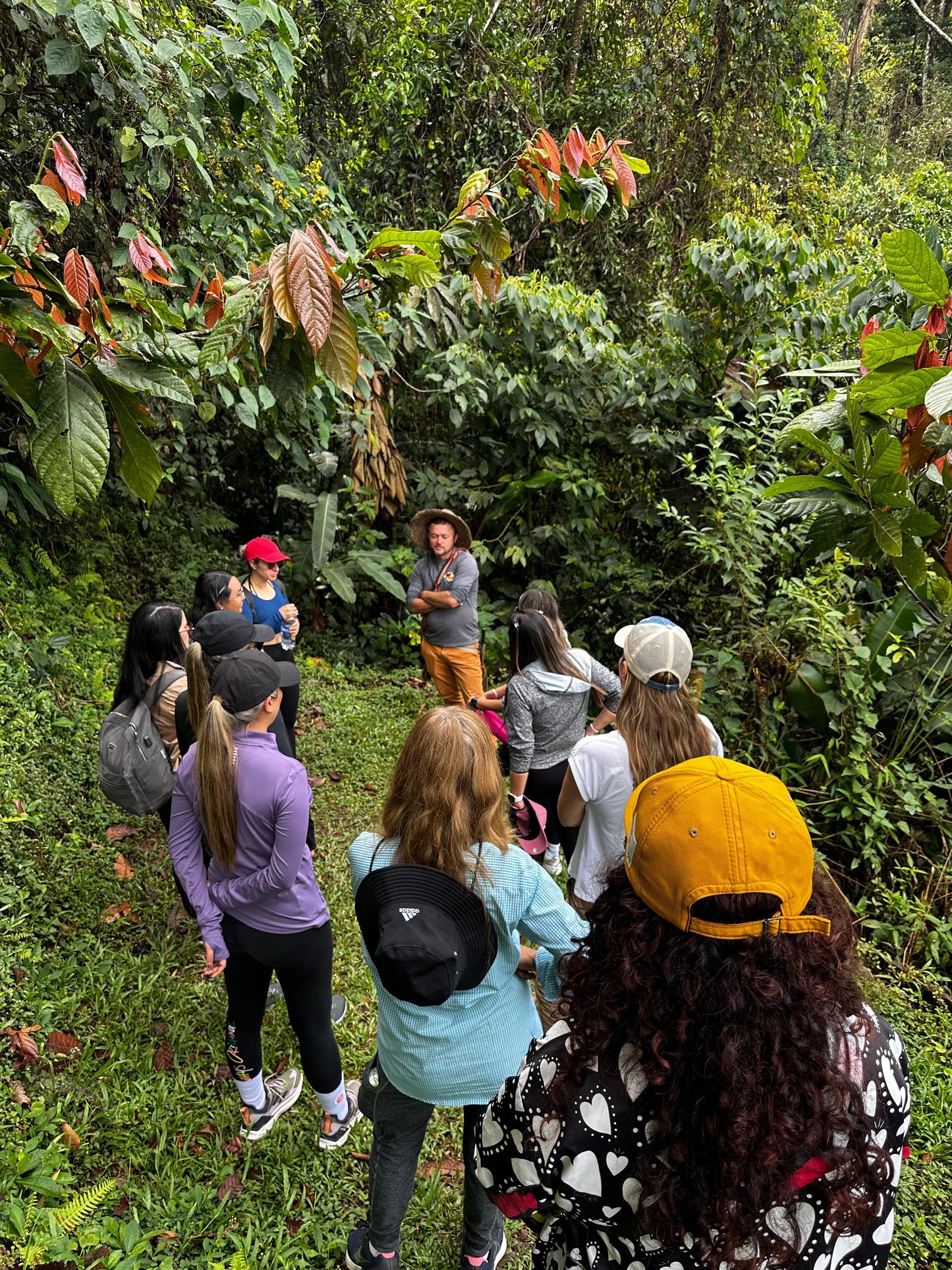 Tour del cacao