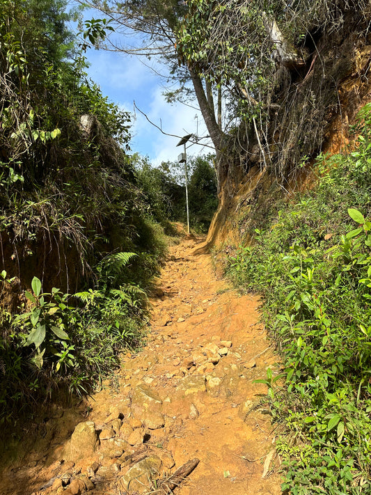 PASO DEL TORO