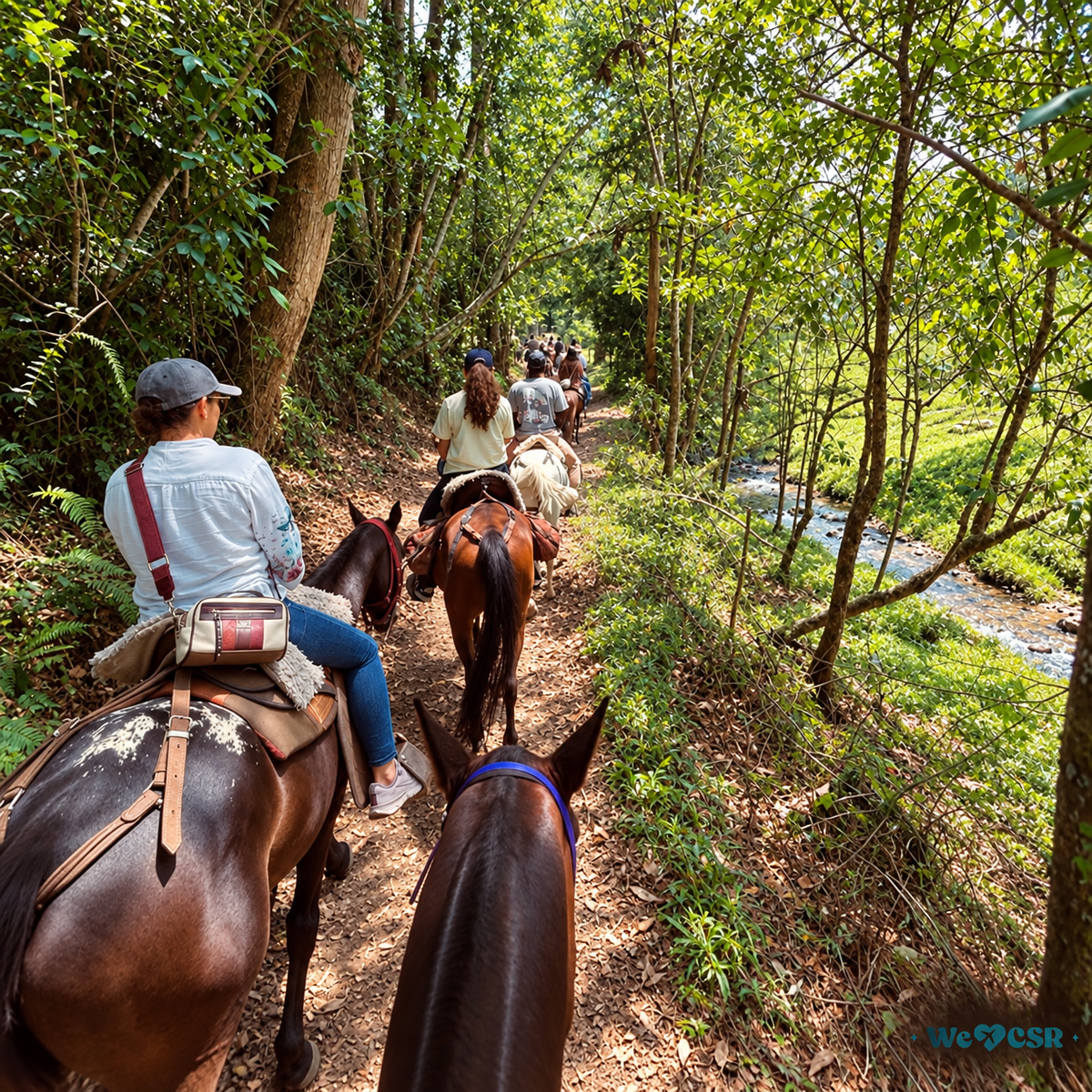 Caballo, Bosque & Picnic