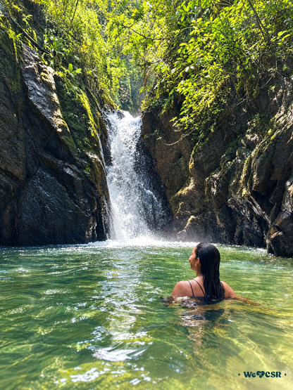 Cascada y Bosque
