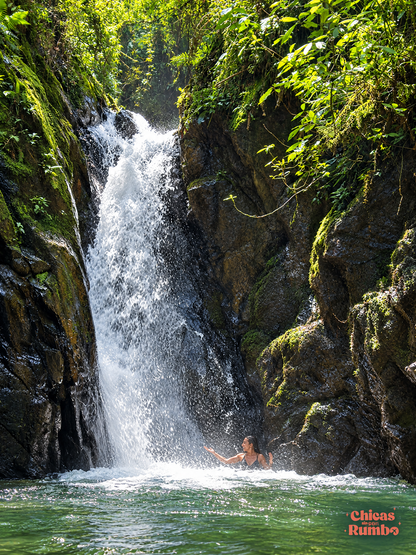Cascada y Bosque