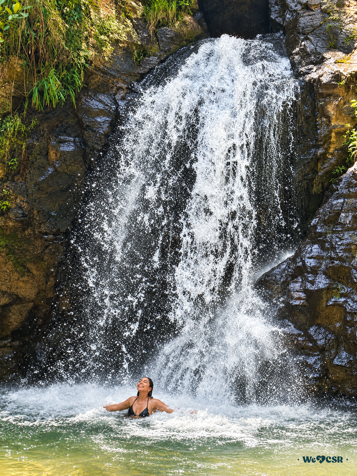 Cascada y Bosque