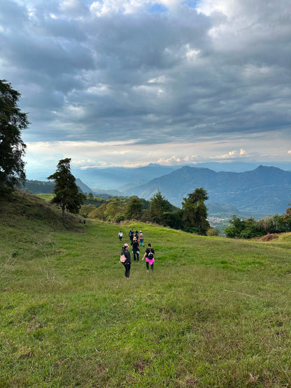 Cerro Bravo