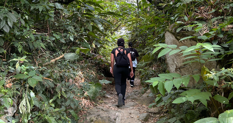 Ascenso a Cerro Bravo