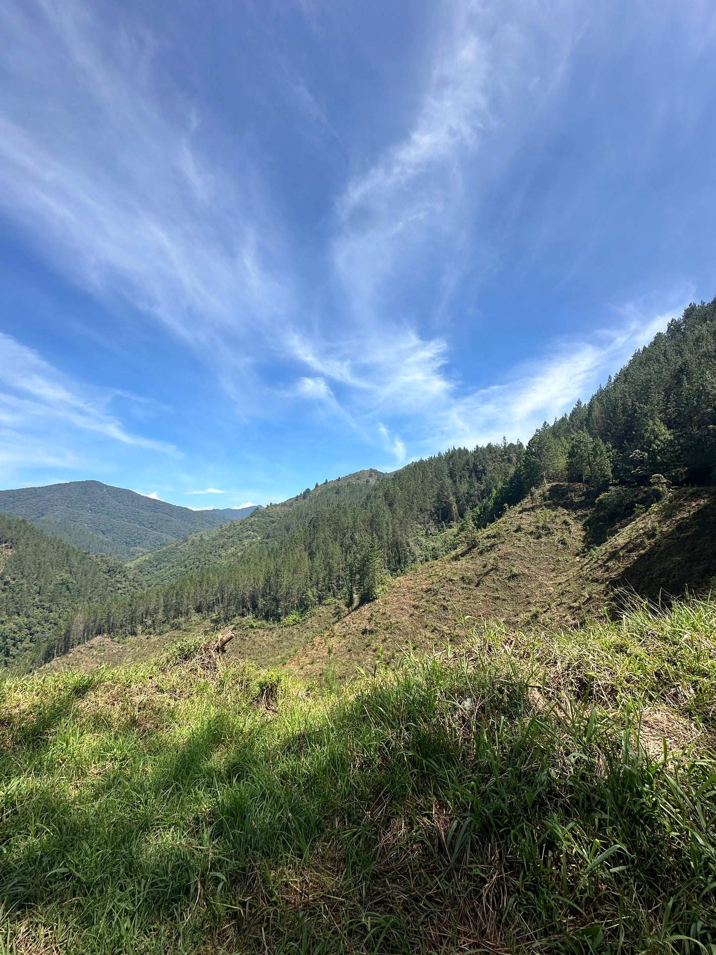 PASO DEL TORO