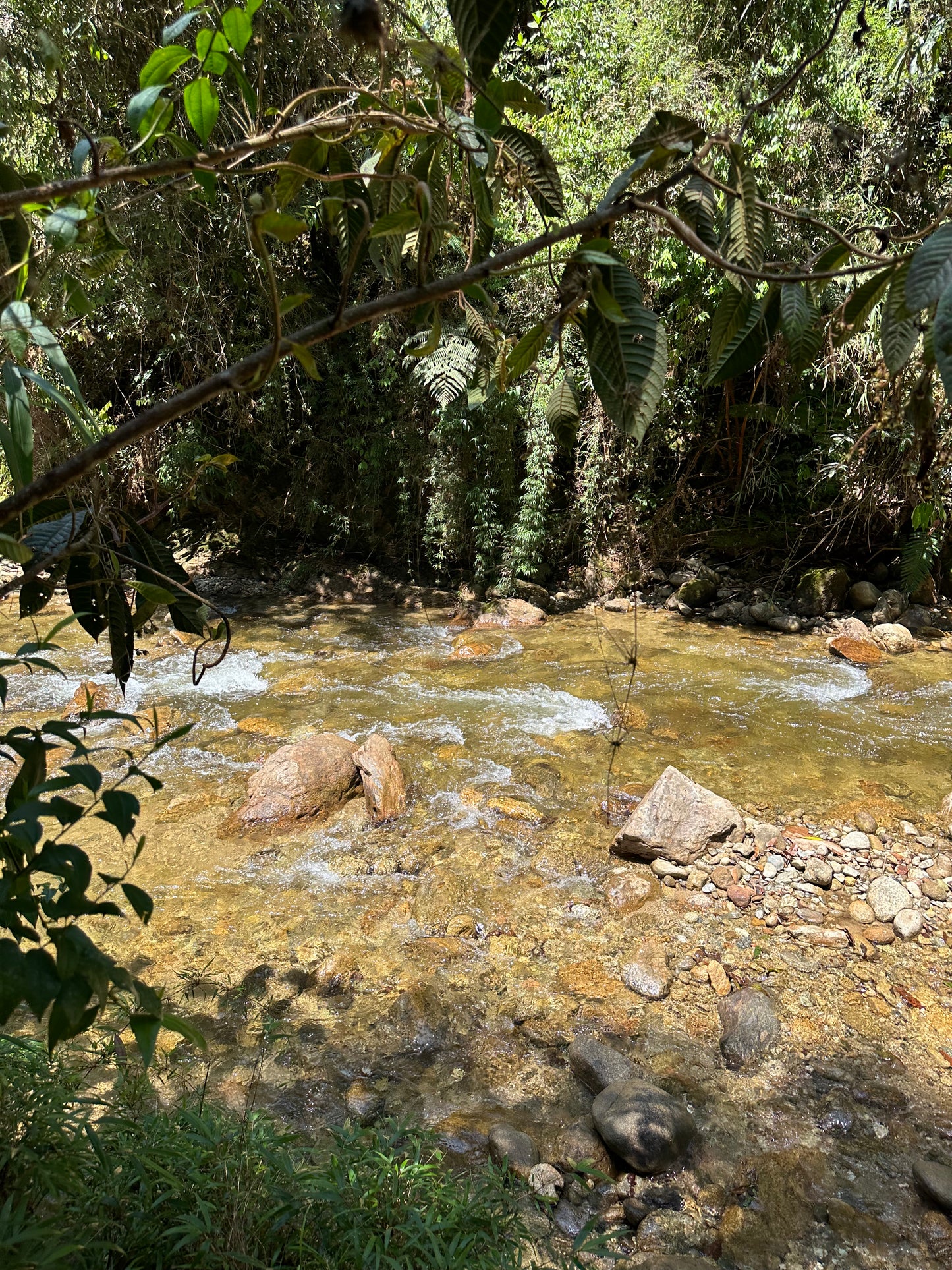 PASO DEL TORO